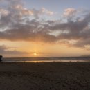 13박 14일(2주) - 몬터레이 베이 아쿠라이리움(Monterey Bay Aquarium)&amp;피스모 비치(Pismo Beach