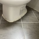 근화신성미소지움 이미지