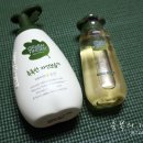 새싹 키즈요가 이미지