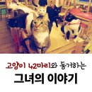 커피타는 고양이 이미지
