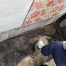 백송화장실 이미지