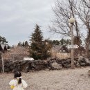 민지목장 이미지