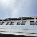 운전면허시험장 (새별오름방면) | 운전면허증 운전면허시험장 갱신후기