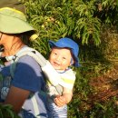 혜영농장 이미지