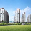 선운지구진아리채 이미지