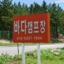 양양바다