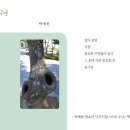 청소년 디카시집 《너의 무늬》/ 박예분(책고래) 이미지