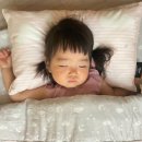 한국교원대부설초교병설유치원 | 유치원 종류 및 어린이집과 차이점 입소대기방법