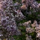 미노래연습장 이미지