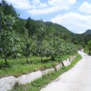 분지골농장 이미지