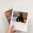 나를 찾는 시간, 사진에세이 | 개인/프로필 스냅과 나만의 에세이북으로 나 기록하기. &#39;이따금나의너&#39; 사진에세이 밤필름 후기