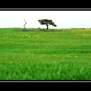 고음농장 이미지