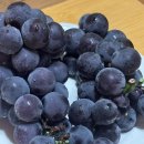 (주)포도스튜디오 이미지
