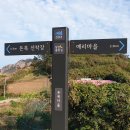 우이도 풍성사구 이미지