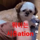 승헌이네슈퍼 | 사오월