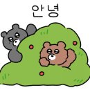 배말칼국수김밥통영루지점 이미지