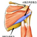 디클리셰 네이버블로그