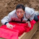 봄날처럼 이미지