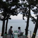 단짝단짝 이미지