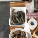 비토애럭셔리글램핑산청점