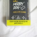 엔젤스 도그 이미지