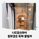 스테이 도토리 이미지