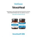 신동동물병원 | 겨울에도 따뜻한 치료, 벳이즈 냉동치료 이야기❄️💙