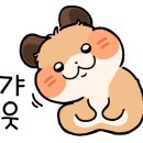 진댄스아카데미 이미지