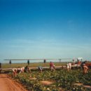 재수 농장 이미지