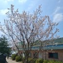 버그헌터119 파주센터