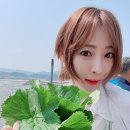 영광카타운 네이버블로그