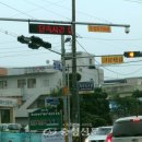 주정차-19 이미지