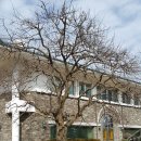 청남대사우나 이미지