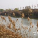 창릉천수변공원 네이버블로그