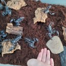 준성농장 이미지