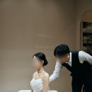 내추럴폼스