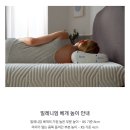수면 질 상승템 템퍼 밀레니엄 베개(에르고 베개) XS 2년 사용 후기