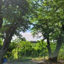 효자요양병원 이미지