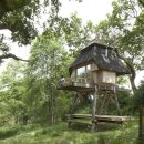 숲속 아지트 이미지