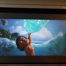 노원광학 이미지