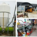 소망1농장 이미지