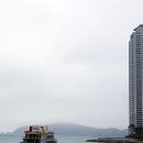 진흥 행정사 사무소 이미지