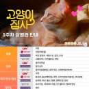 &#34;길고양이는 이름이 없다&#34; 영화 &#39;고양이 집사&#39;를 본 후기 [감상문]