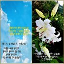 &#39;23.06.30)회원님들 소식(이어도 지키기 양태룡 외 강정숙, 최홍열, 유옥희 작품 등) 이미지