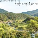 까치내마을 이미지