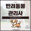 발건강관리사(2급) | 반려동물관리사 2급 취득방법 및 공부 합격 후기