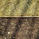 더스테이하우스펜션 이미지