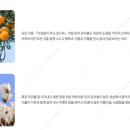 부산두레학교 이미지