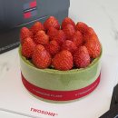 은천동-18 | 투썸 말차스초생 말초생 예약 없이 구매방법