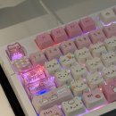 소울캣 | 소울캣 키캡 내돈내산 후기 (쫑긋고양이이모지)